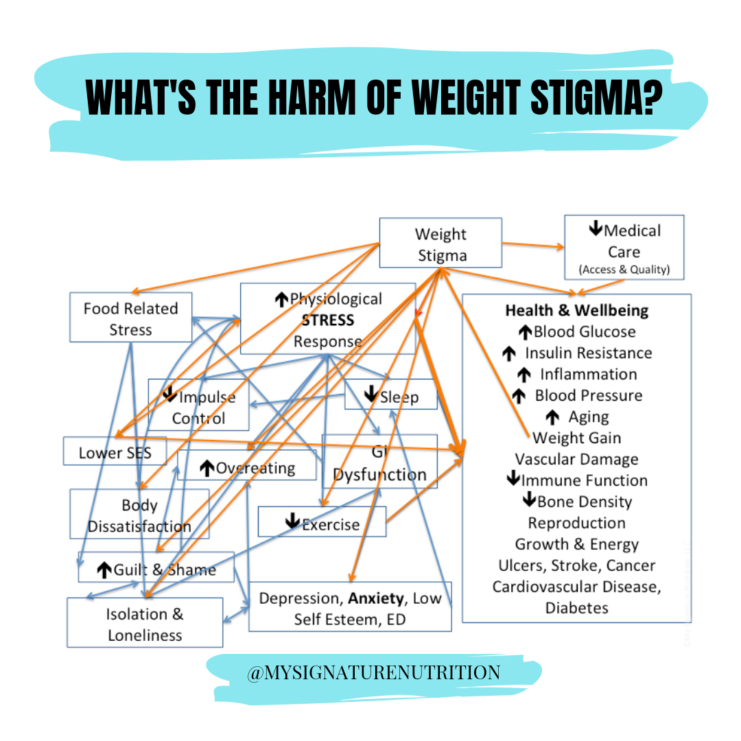 What Is Weight Stigma – MySignatureNutrition